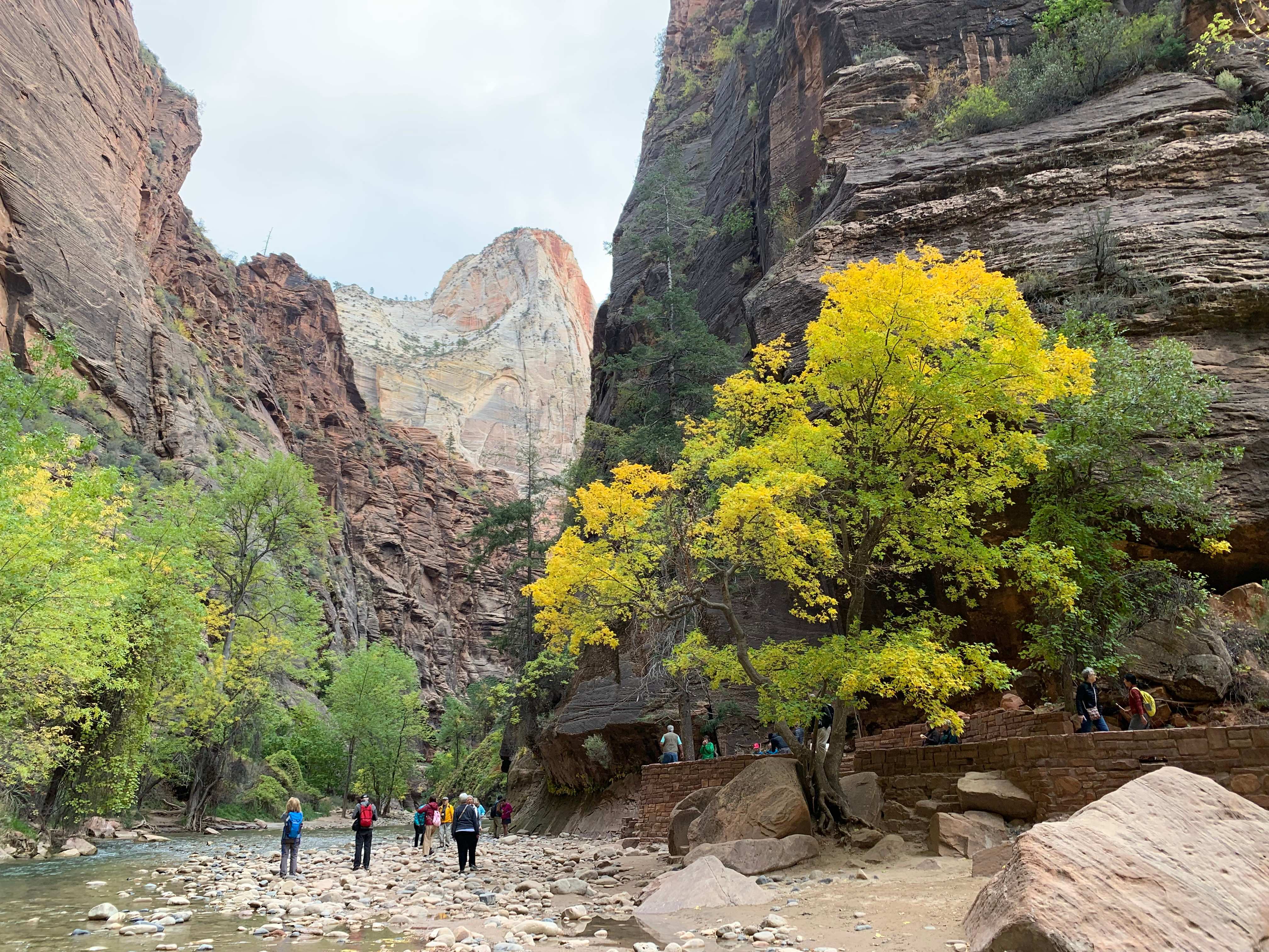 Zion NP